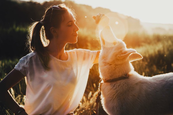 obiceiuri pe care caini ii imita la oameni
