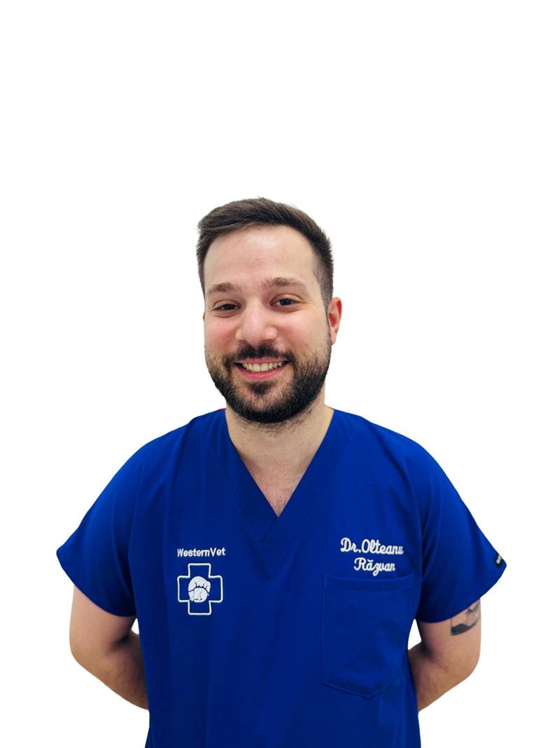 Picture of Dr. Razvan Olteanu